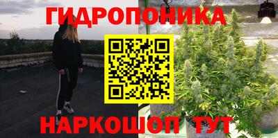 крисы Владивосток