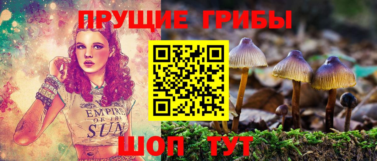 Галлюциногенные грибы мицелий Благодарный